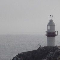 Foto de VIÑA DEL MAR