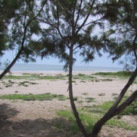 Foto de Tumbes