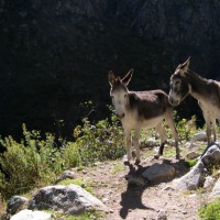 Foto de Ancash