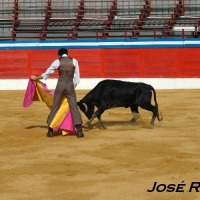 Foto de Jerez  de la Frontera