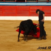 Foto de Jerez  de la Frontera