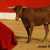 Foto de Jerez  de la Frontera