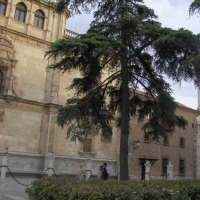 Foto de Alcalá de Henares