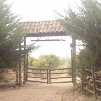 Foto de QUILPUE