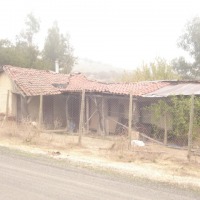 Foto de QUILPUE