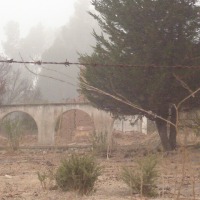 Foto de QUILPUE