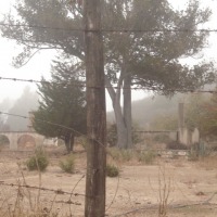 Foto de QUILPUE