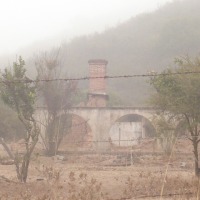 Foto de QUILPUE