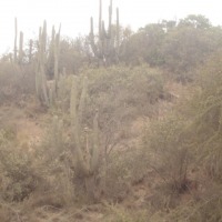 Foto de QUILPUE