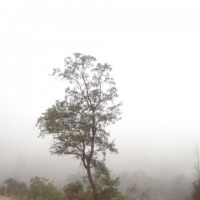 Foto de QUILPUE