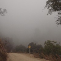 Foto de QUILPUE