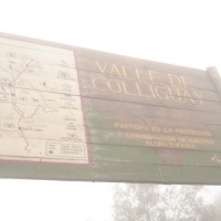 Foto de QUILPUE