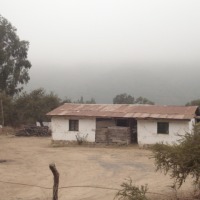 Foto de QUILPUE