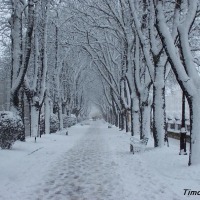Foto de Burgos