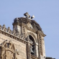 Foto de Aranda de Duero