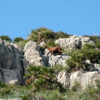 Foto de Palma de Mallorca