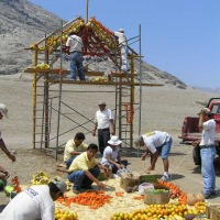 Foto de MOCHE