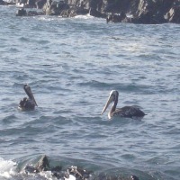 Foto de QUINTAY