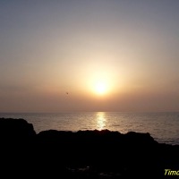 Foto de Torrevieja