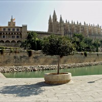 Foto de Palma de Mallorca