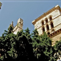 Foto de Palma