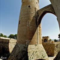 Foto de Palma de Mallorca