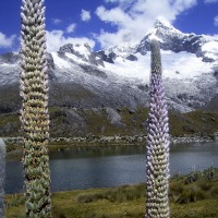 Foto de Ancash