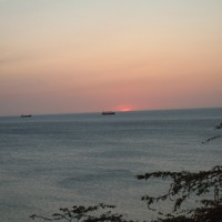 Foto de Cardon