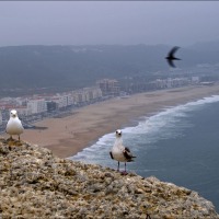 Foto de Nazaré (Portugal)