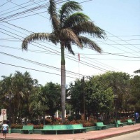 Foto de Tela, Atlántida