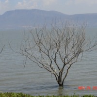 Foto de Piedra Barrenada