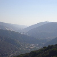 Foto de VIÑA DEL MAR