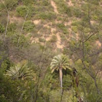 Foto de QUILPUE