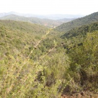 Foto de QUILPUE