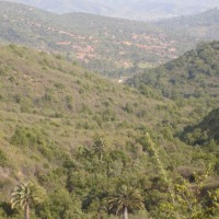 Foto de QUILPUE