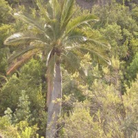 Foto de QUILPUE