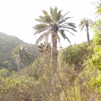 Foto de QUILPUE