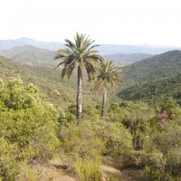 Foto de QUILPUE