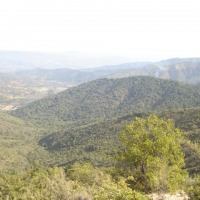 Foto de QUILPUE