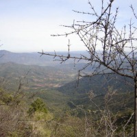 Foto de QUILPUE