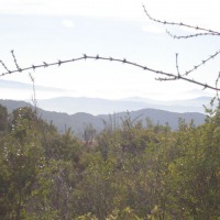 Foto de QUILPUE