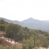 Foto de QUILPUE