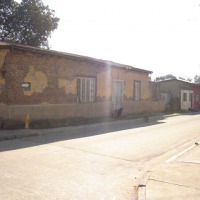 Foto de LIMACHE