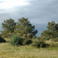 Foto de Andújar