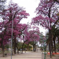 Foto de Catamarca