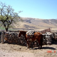 Foto de Tafí del Valle, Tucumán