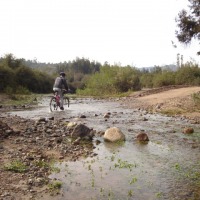 Foto de QUILPUE