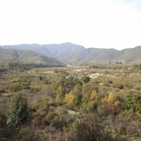 Foto de QUILPUE