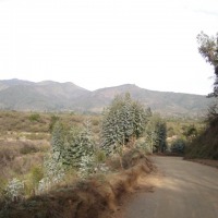 Foto de QUILPUE