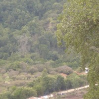 Foto de QUILPUE